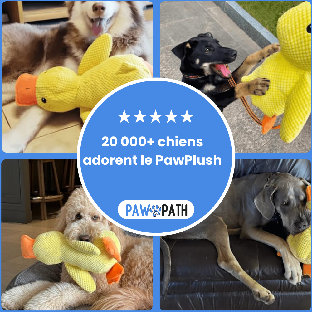 PawPlush™ - Le Canard Anti-Stress