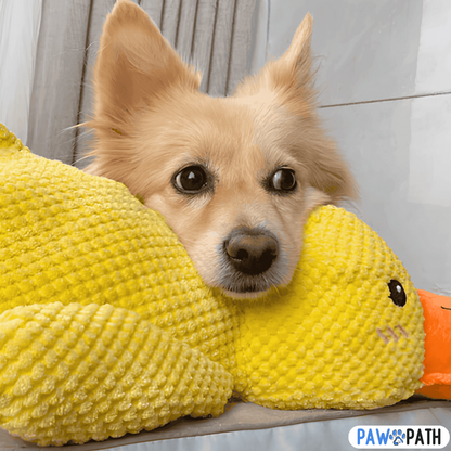 PawPlush™ - Le Canard Anti-Stress