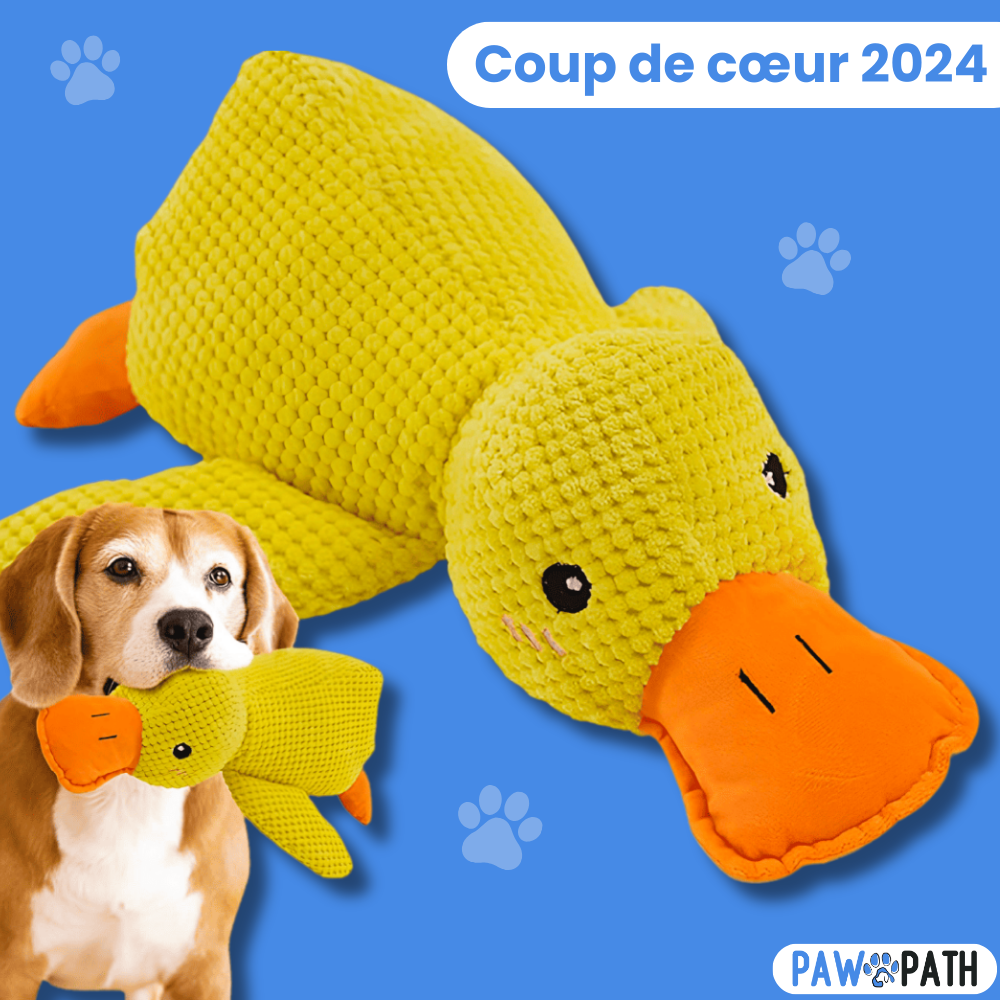 PawPlush™ - Le Canard Anti-Stress