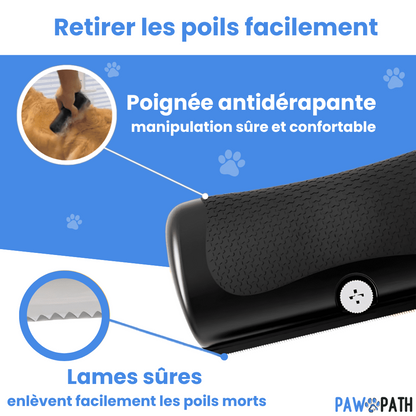 PawBrush™  – La brosse incontournable pour un pelage impeccable