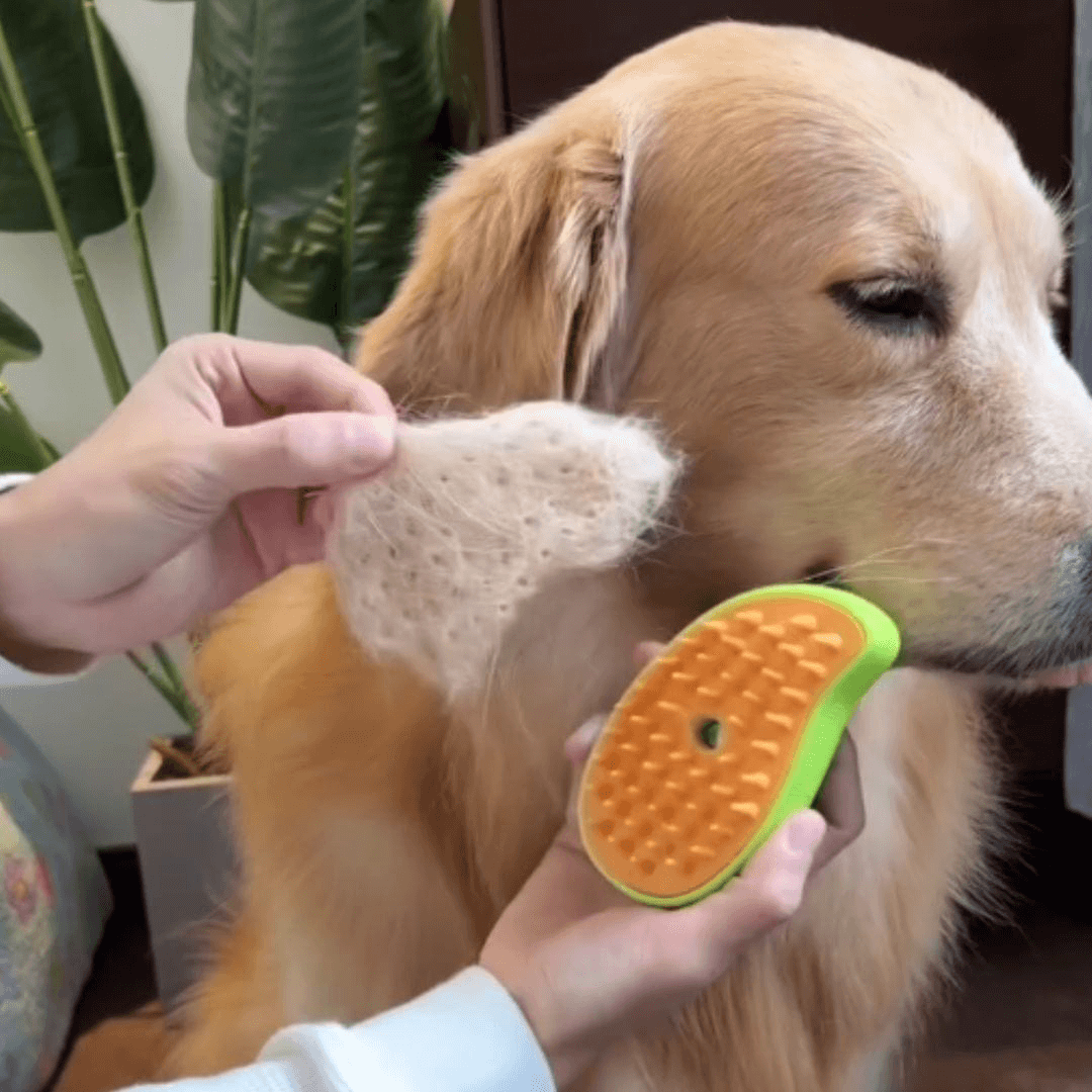 Brosse chien à vapeur - SteamPaw™