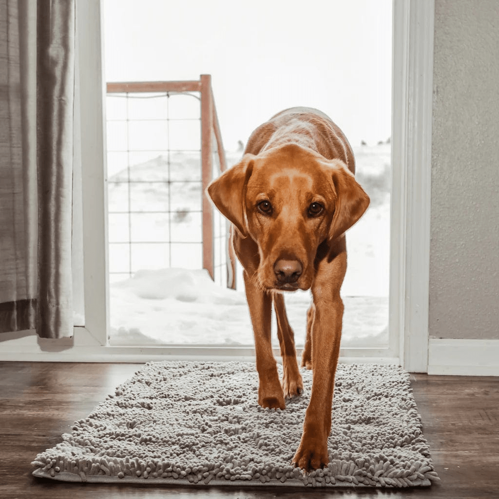 Tapis - CleanPaw™