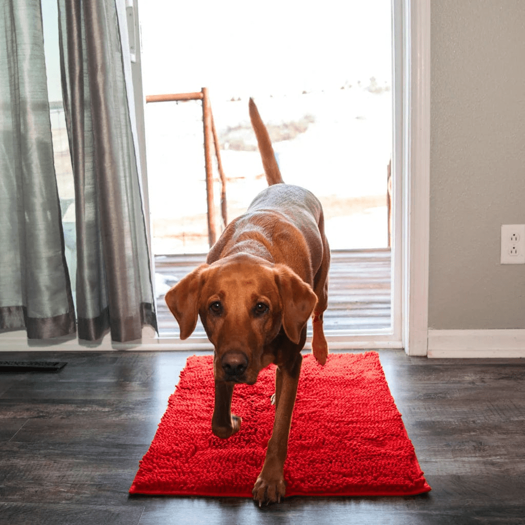 Tapis - CleanPaw™